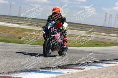 media/Mar-23-2025-TrackDaz (Sun) [[88a7749186]]/B Group/1220pm (Wheelie Bump)/